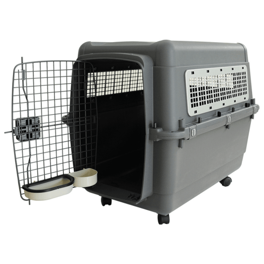 Pet Mode Plastic Transporter Pet Carrier