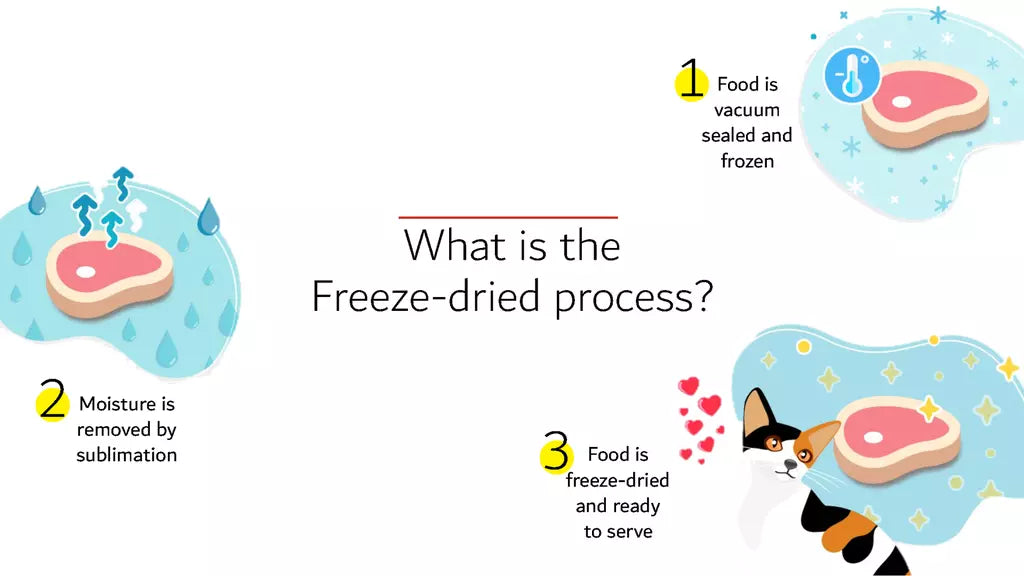 Happi Skippi Freeze-Dried Treat Salmon for Cats & Dogs - 10g