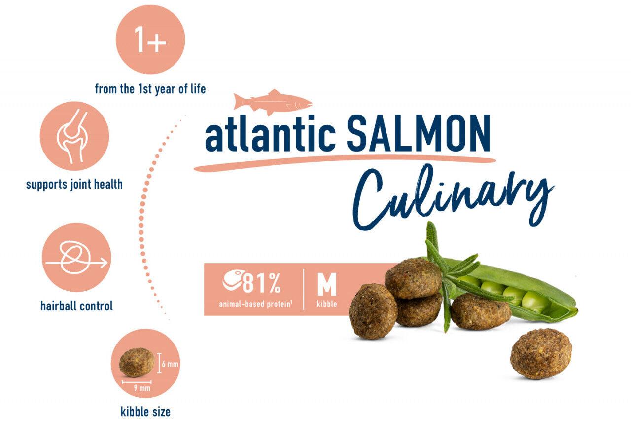 Happy Cat Culinary Atlantic Lachs Salmon