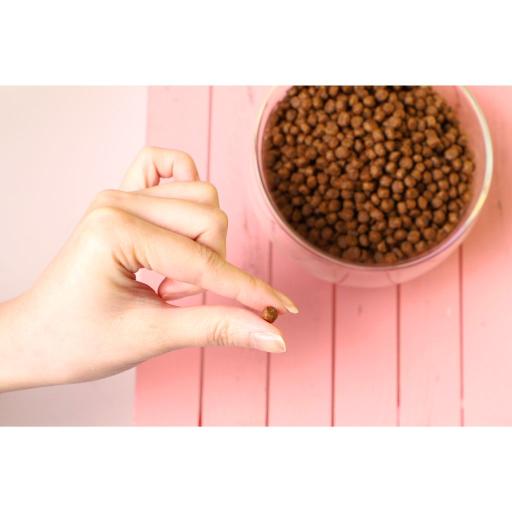 Kit Cat No Grain Tuna & Salmon 1Kg