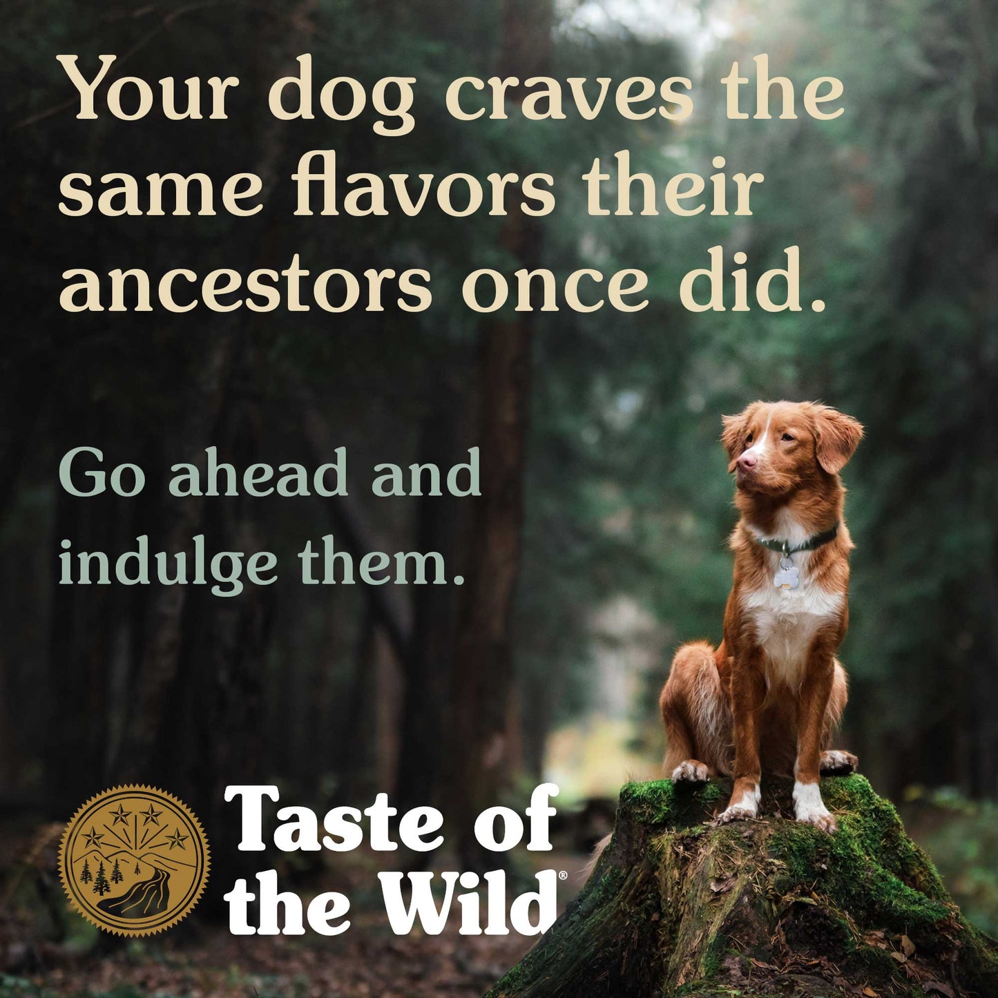 Taste of the Wild Southwest Canyon Canine Formula Dry Dog Food 2kg