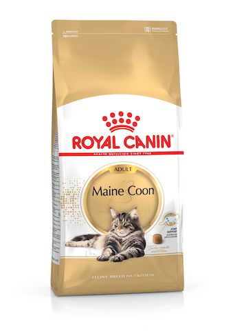 Royal Canin Feline Breed Nutrition Maine Coon Adult Cat Dry food 2kg