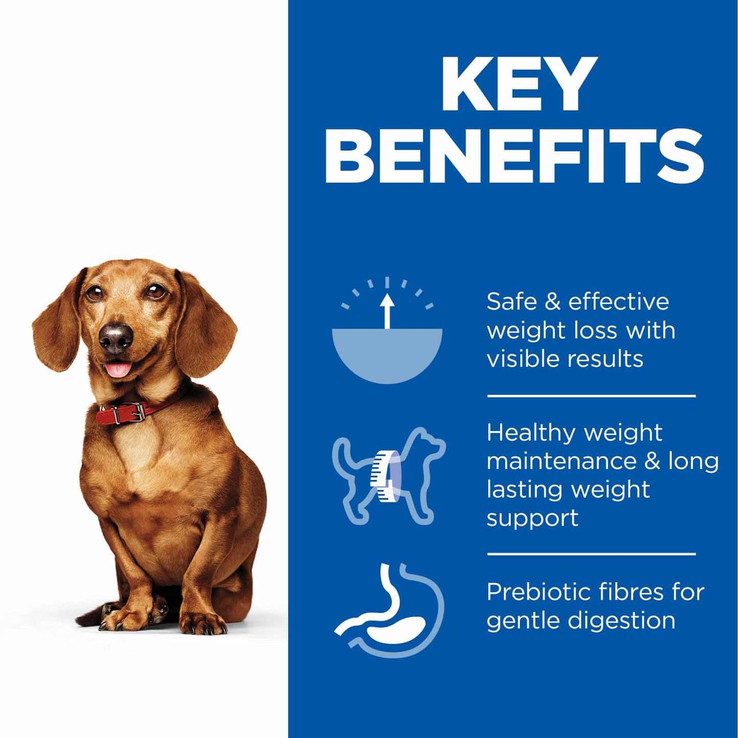 Hills Science Plan Perfect Weight Small & Mini Adult Dog Food With Chicken 1.5Kg