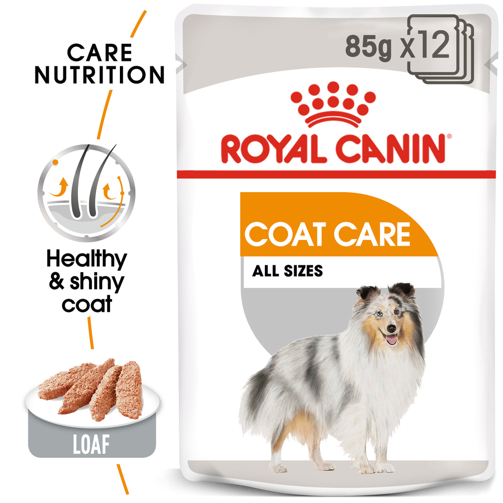 Royal Canin Canine Care Nutrition Coat Care (WET FOOD)