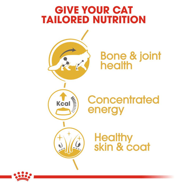 Feline Breed Nutrition Maine Coon (Wet Food - Pouches)