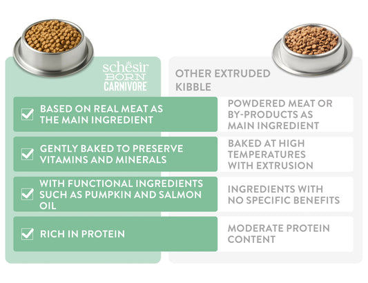 Schesir Born Carnivore Grain Free Oven Baked Dry Food for Cat - Chicken&Egg 255g