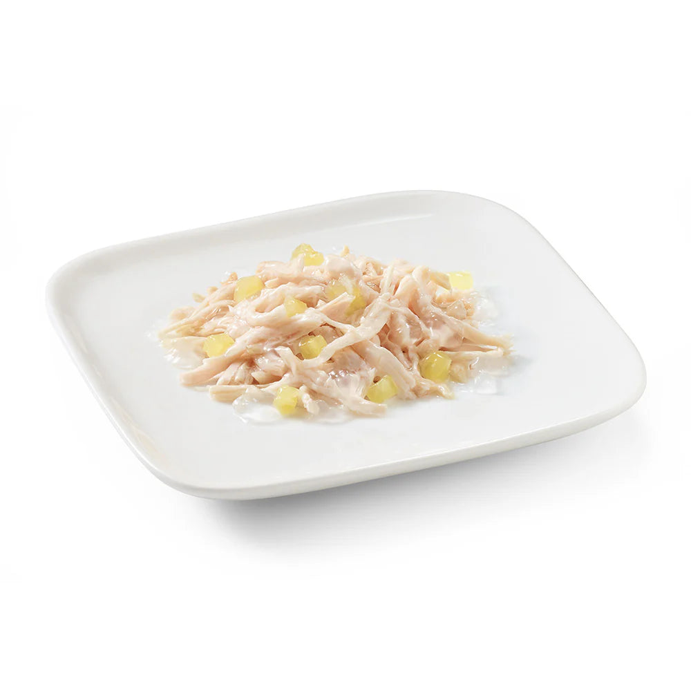 Schesir Dog Wet Food in Jelly Can-Chicken With Pineapple 150g