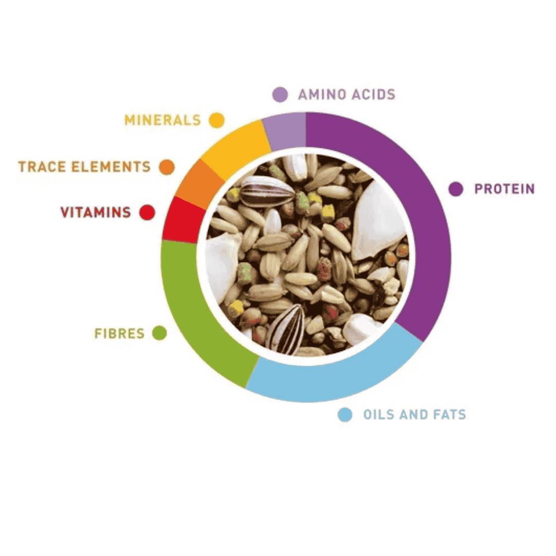 Padovan Wellness Australian Birds Food – 850g Premium Mix