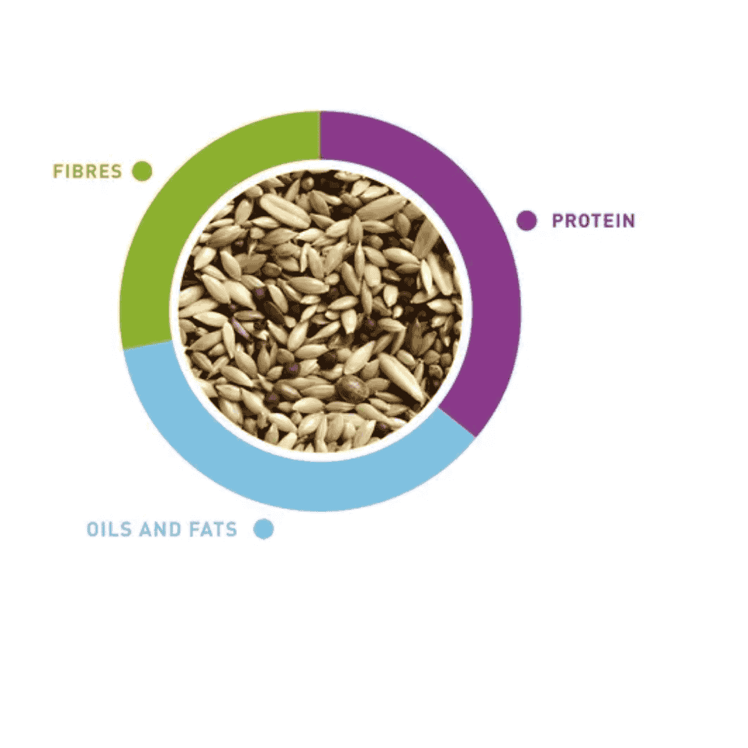 Padovan NaturalMix Canarini
