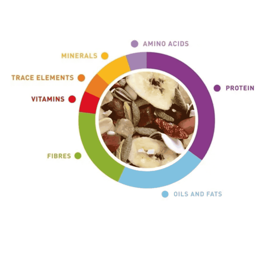 Padovan Wellness Parrots Food – 750g Nutritious Bird Mix