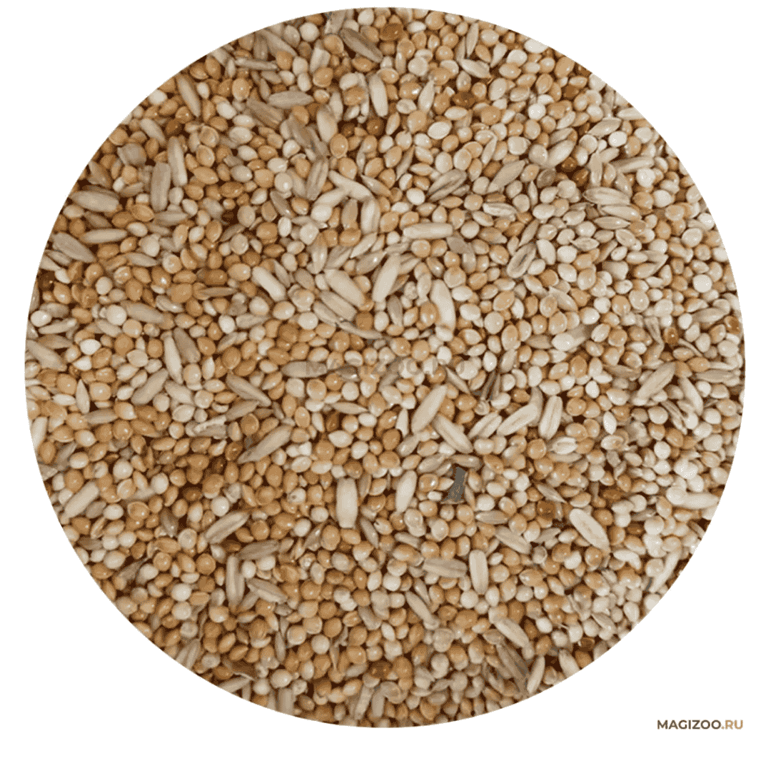 Padovan Naturalmix Cocorite[Weight - 1kg]