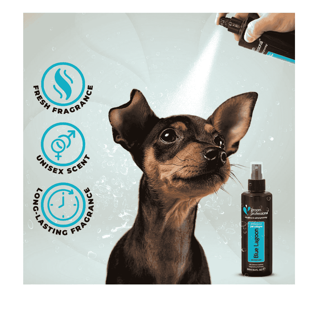 Groom Professional Blue Pet Lagoon Cologne|Perfume[Volume - 200 ml]