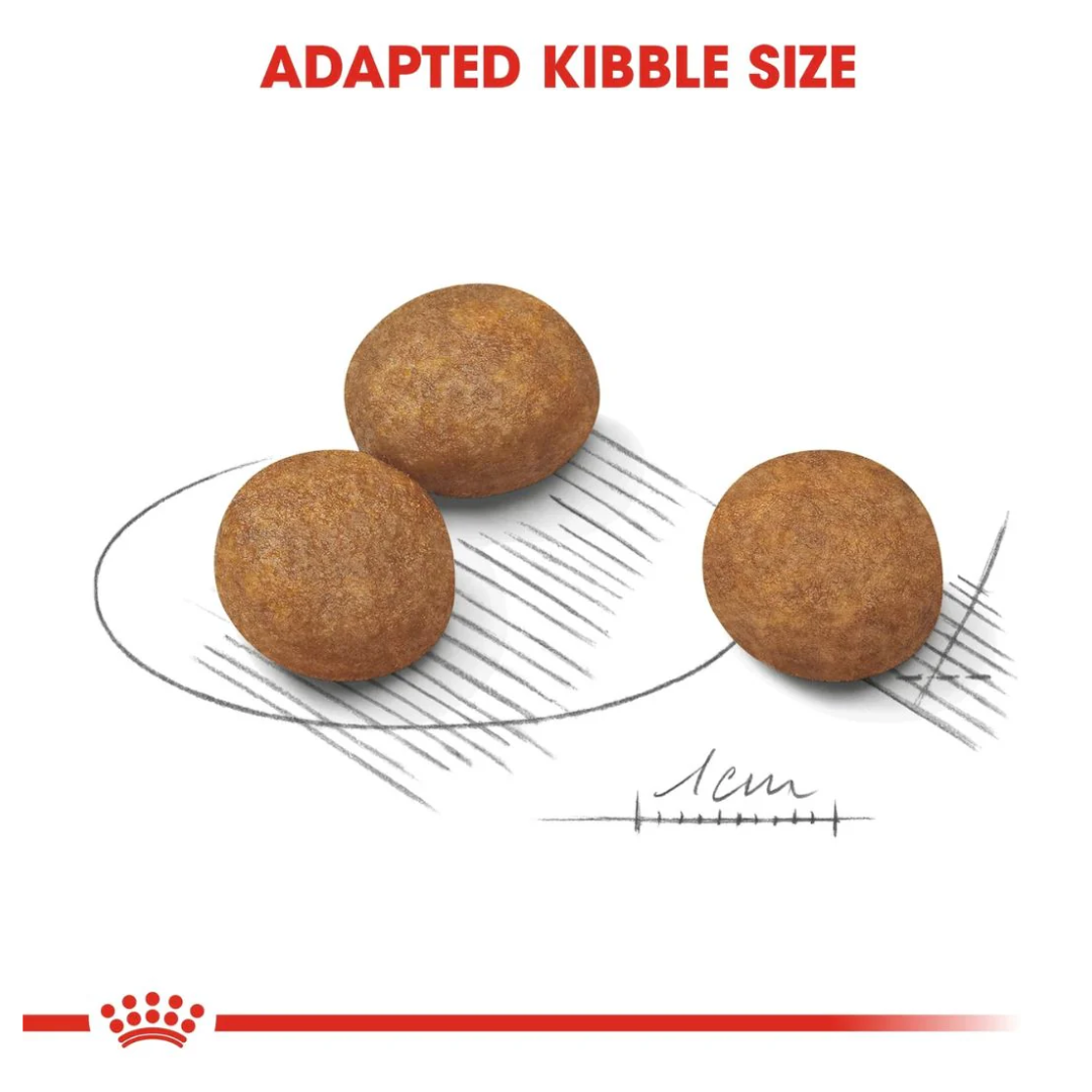 Royal Canin Size Health Maxi Puppy Dry food 15kg