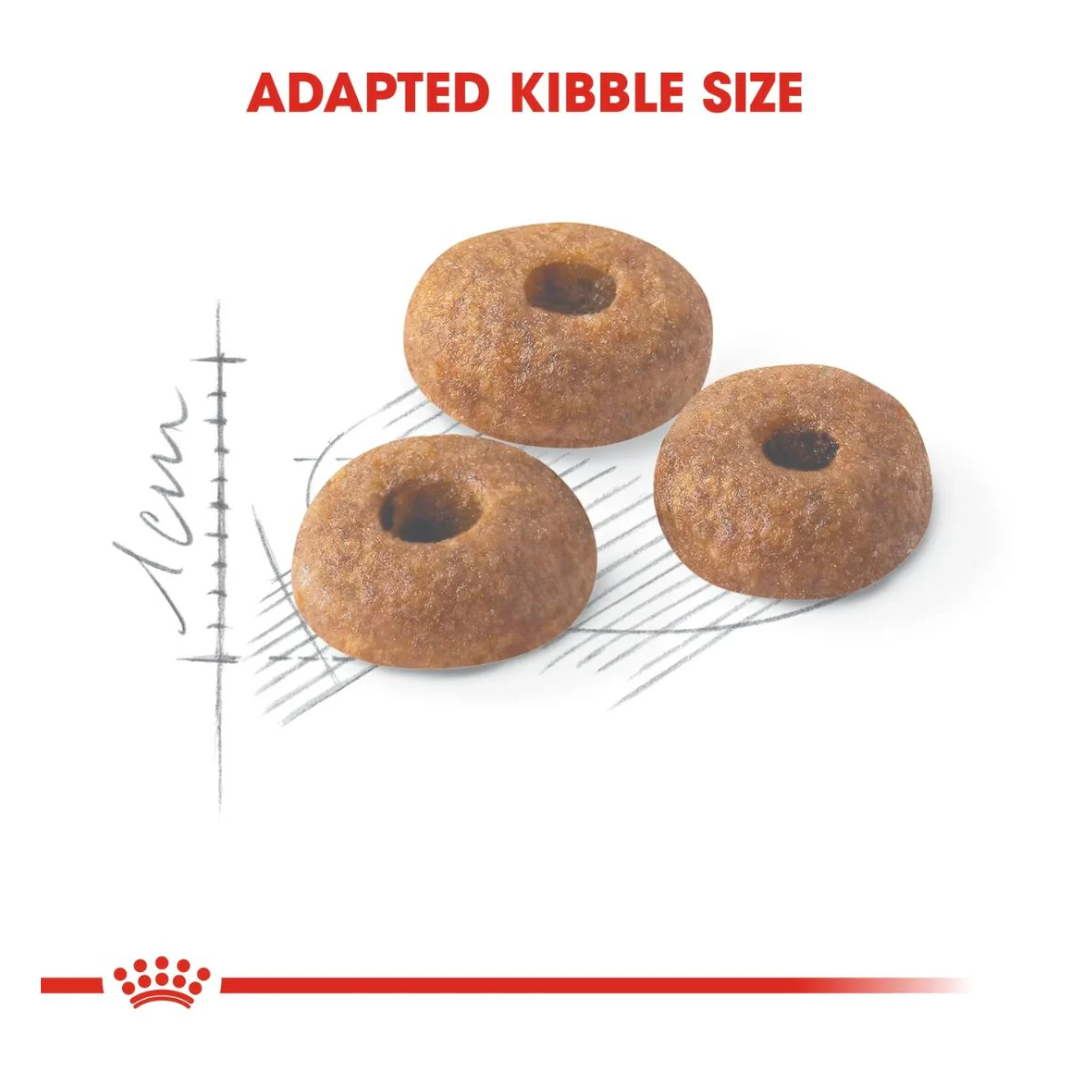 Royal Canin Feline Health Fit 32 Cat Dry food 4kg