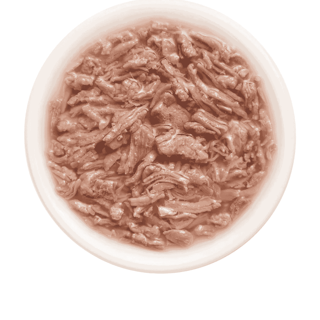 Cat Fest Duck Fillets In Tender Jelly For Cats