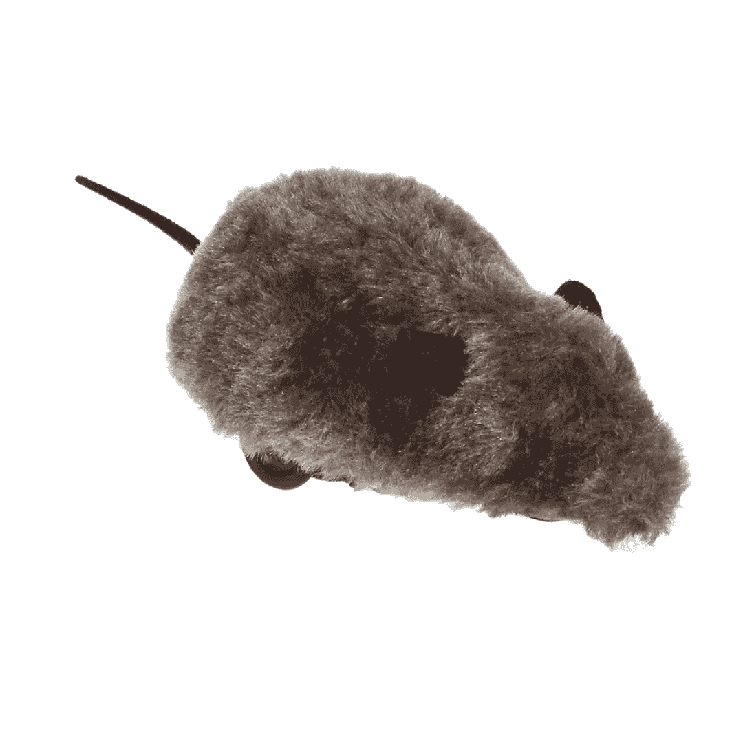 Padovan Wind-Up Mouse Cat Toy – Interactive Motion Play