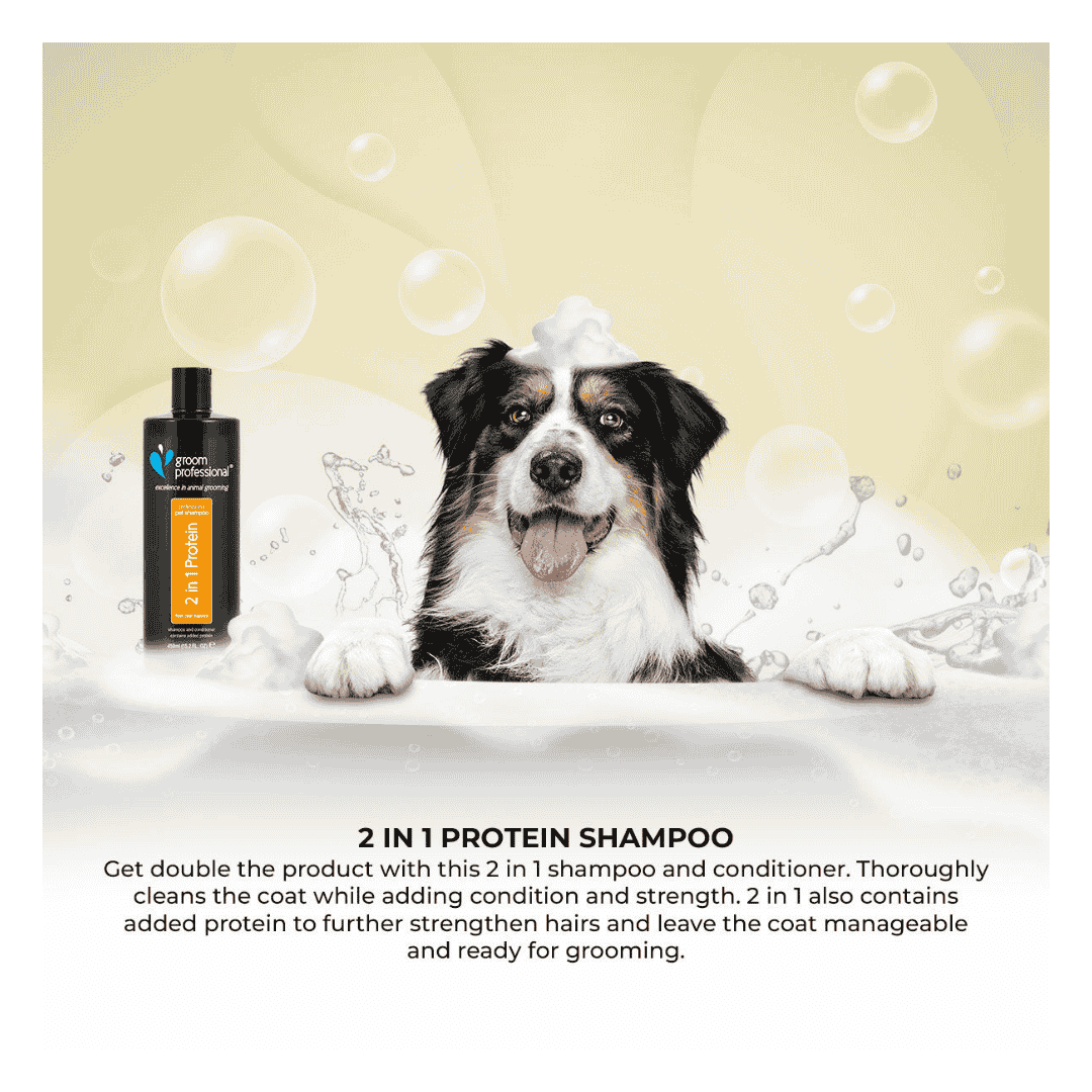 Groom Professional 2 In 1 Protein Shampoo[Volume - 450 ml]