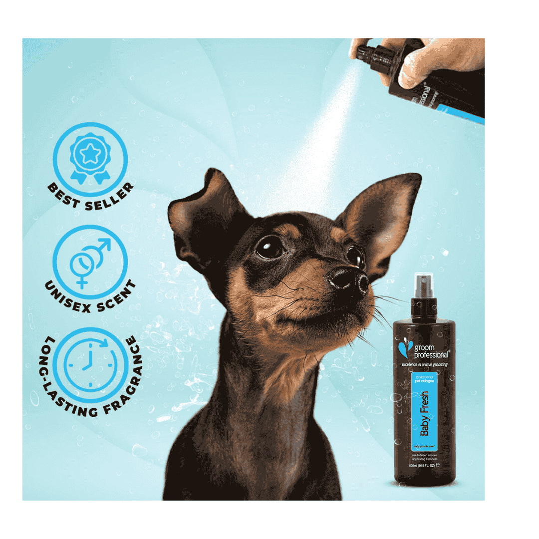 Groom Professional Baby Fresh Cologne (Perfume)[Volume - 500ml]