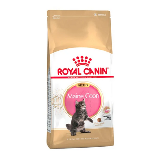 Royal Canin Feline Breed Nutrition Maine Coon Kitten Dry food 2kg