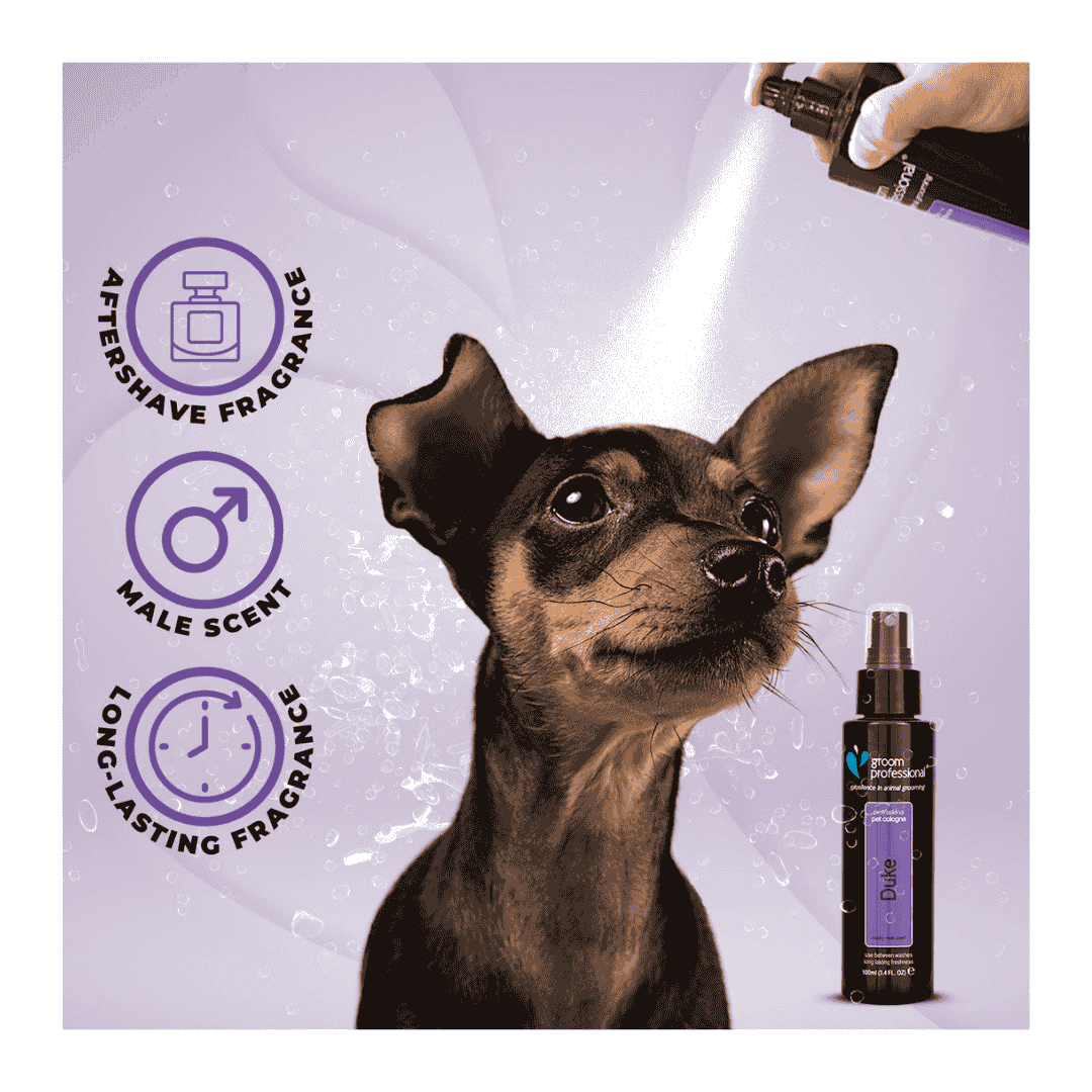 Groom Professional Duke Pet Cologne|Perfume[Volume - 100 ml]