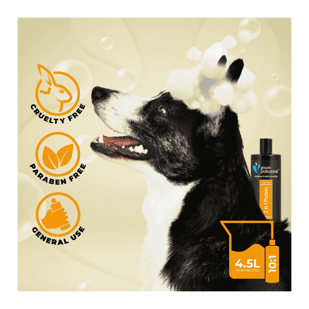 Groom Professional 2 In 1 Protein Shampoo[Volume - 450 ml]