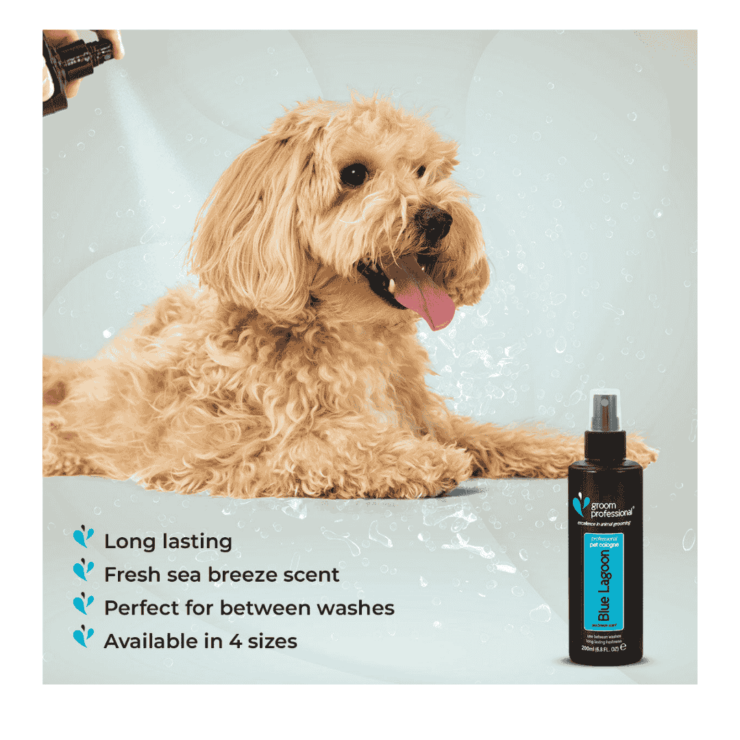 Groom Professional Blue Pet Lagoon Cologne|Perfume[Volume - 200 ml]