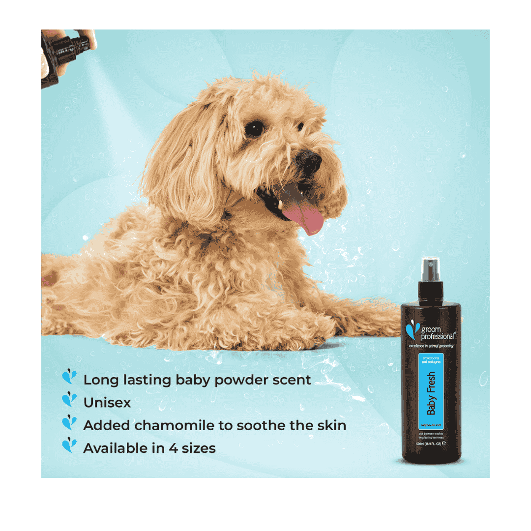 Groom Professional Baby Fresh Cologne (Perfume)[Volume - 500ml]