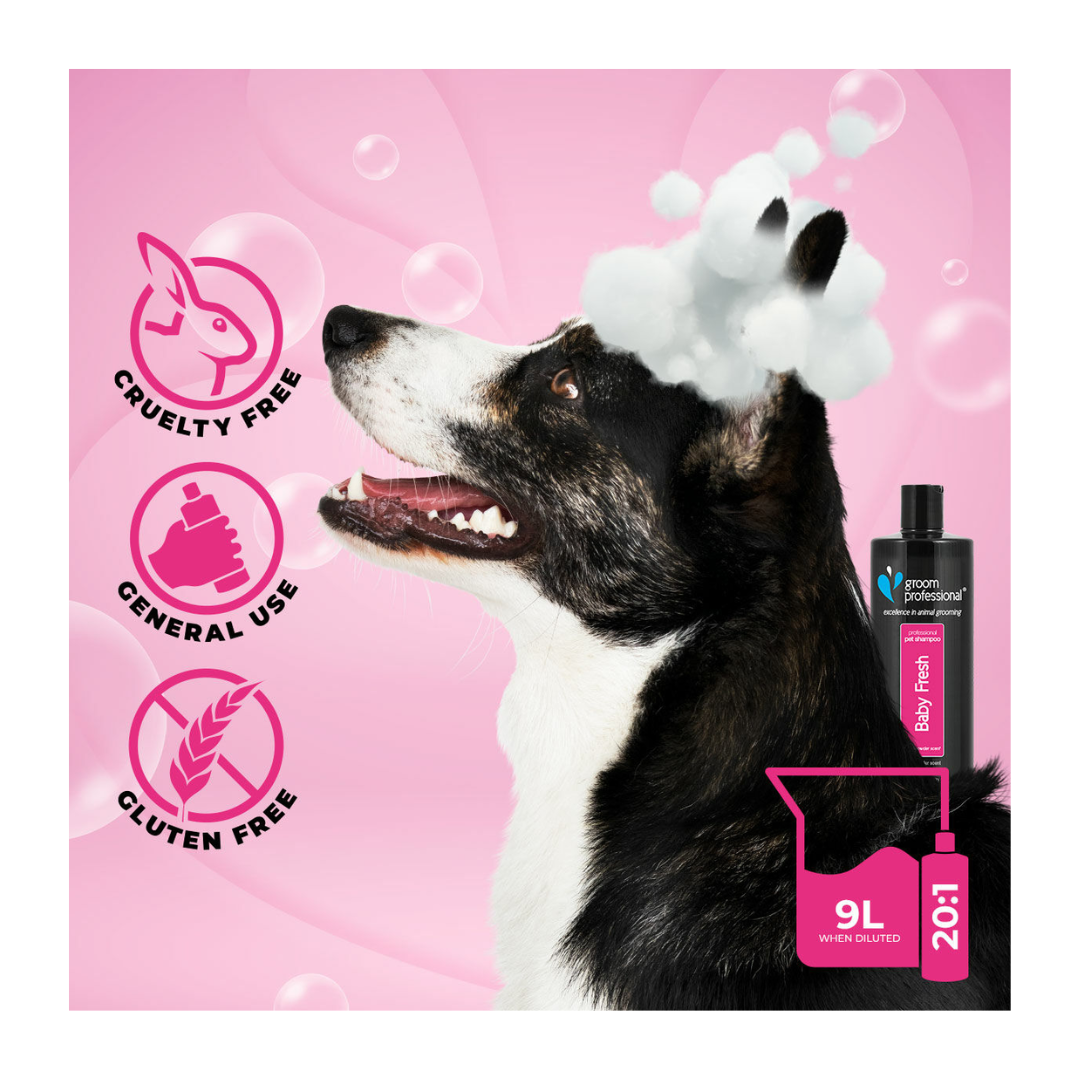 Groom Professional Baby Fresh Shampoo[Volume - 450 ml]