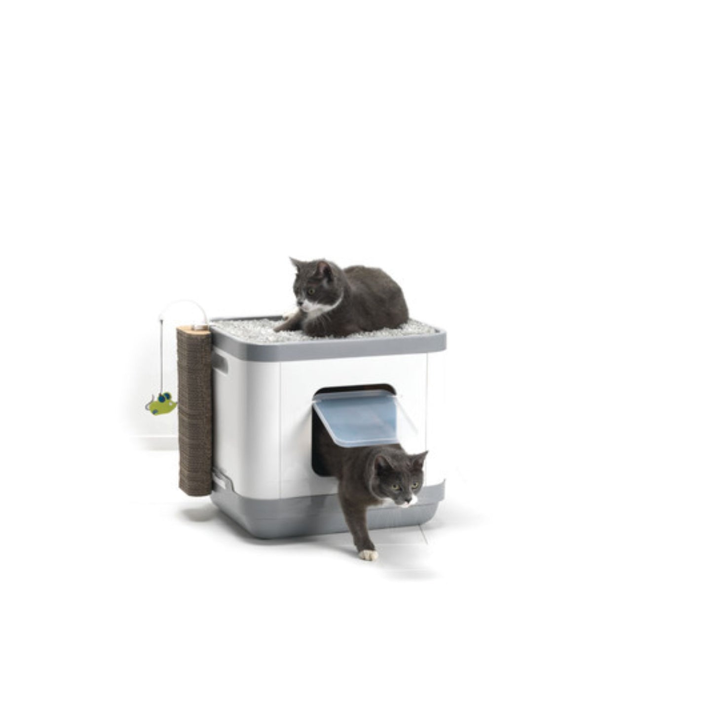 Moderna Cat Concept With Cushion & Scratcher – Grey