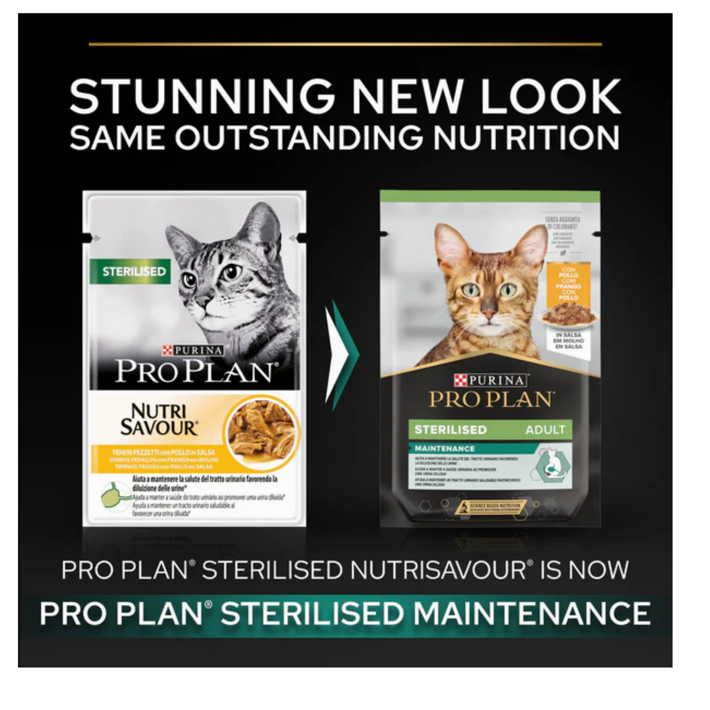 Purina Pro Plan Nutri Savour Wet Food with Chicken in Gravy for Sterilized Adult Cats