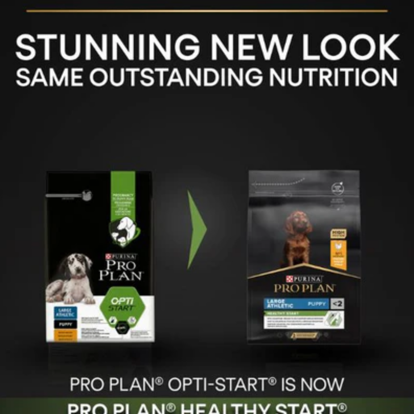 Purina Pro Plan Healthy Start Large Athletic Puppy, Dry Dog food with Chicken, 3 kg