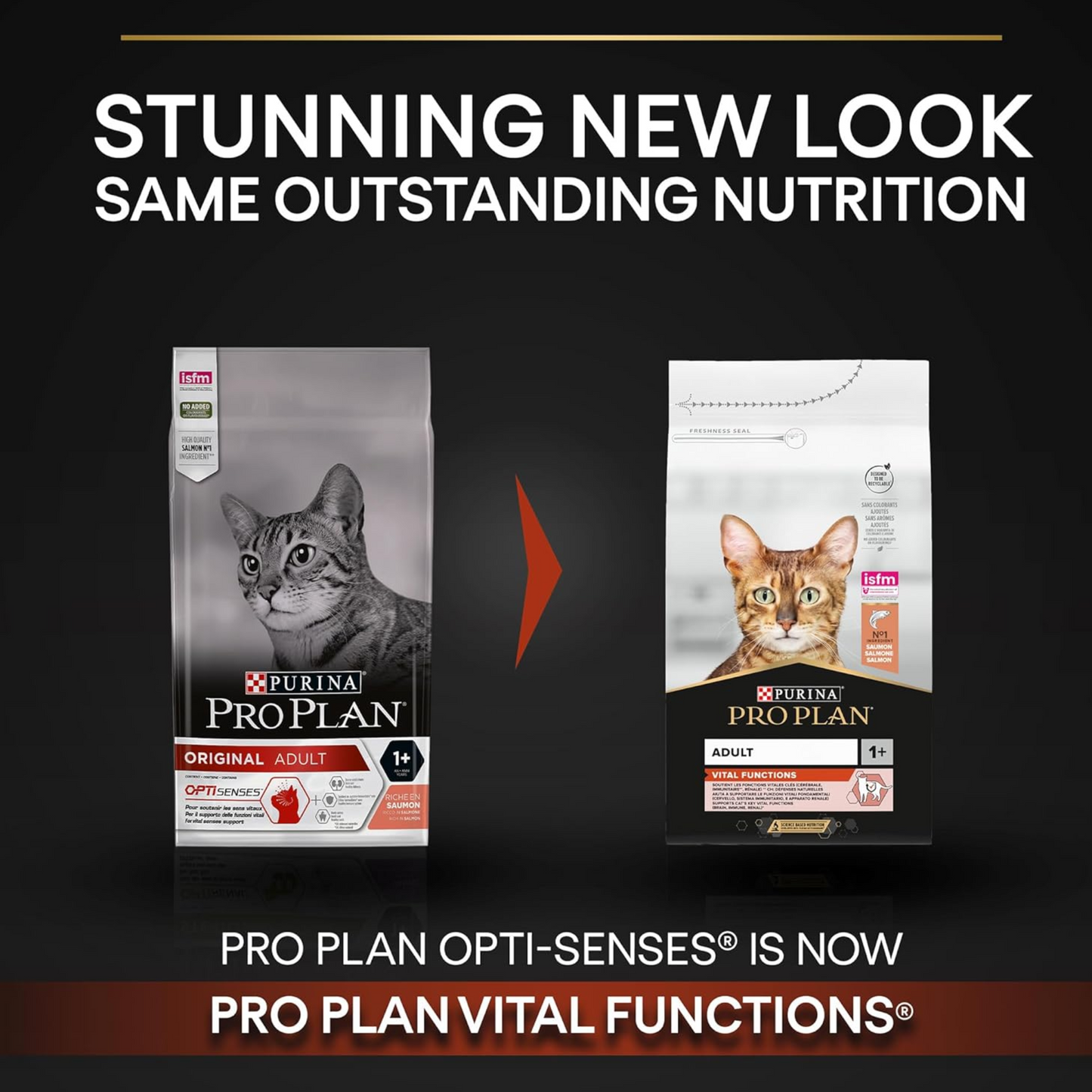 Purina Pro Plan Original Adult Dry Cat Food with Salmon, 1.5 kg