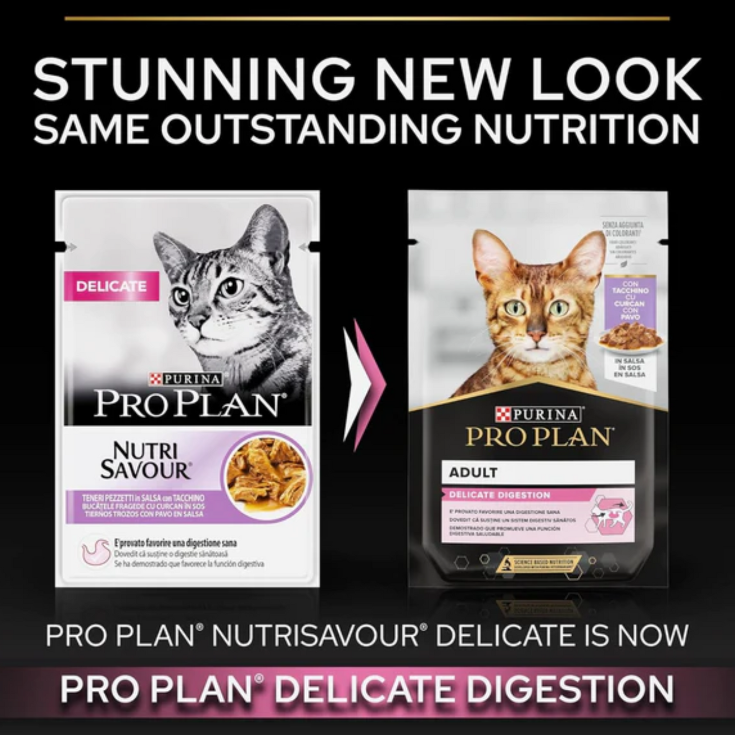 Purina Pro Plan Delicate Wet Cat Food with Turkey Grilled in Gravy, 26 x 85g