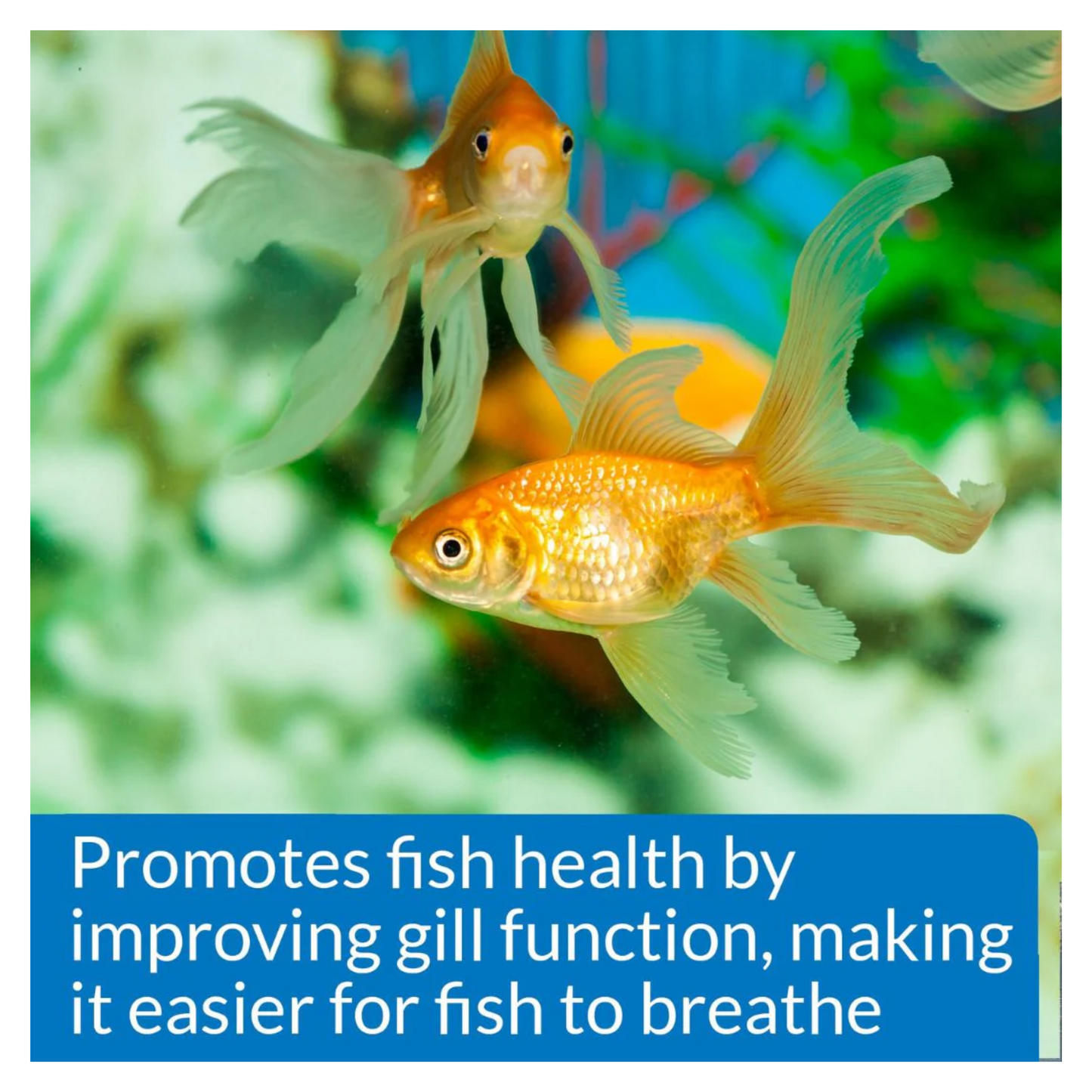 API Freshwater Aquarium Salt