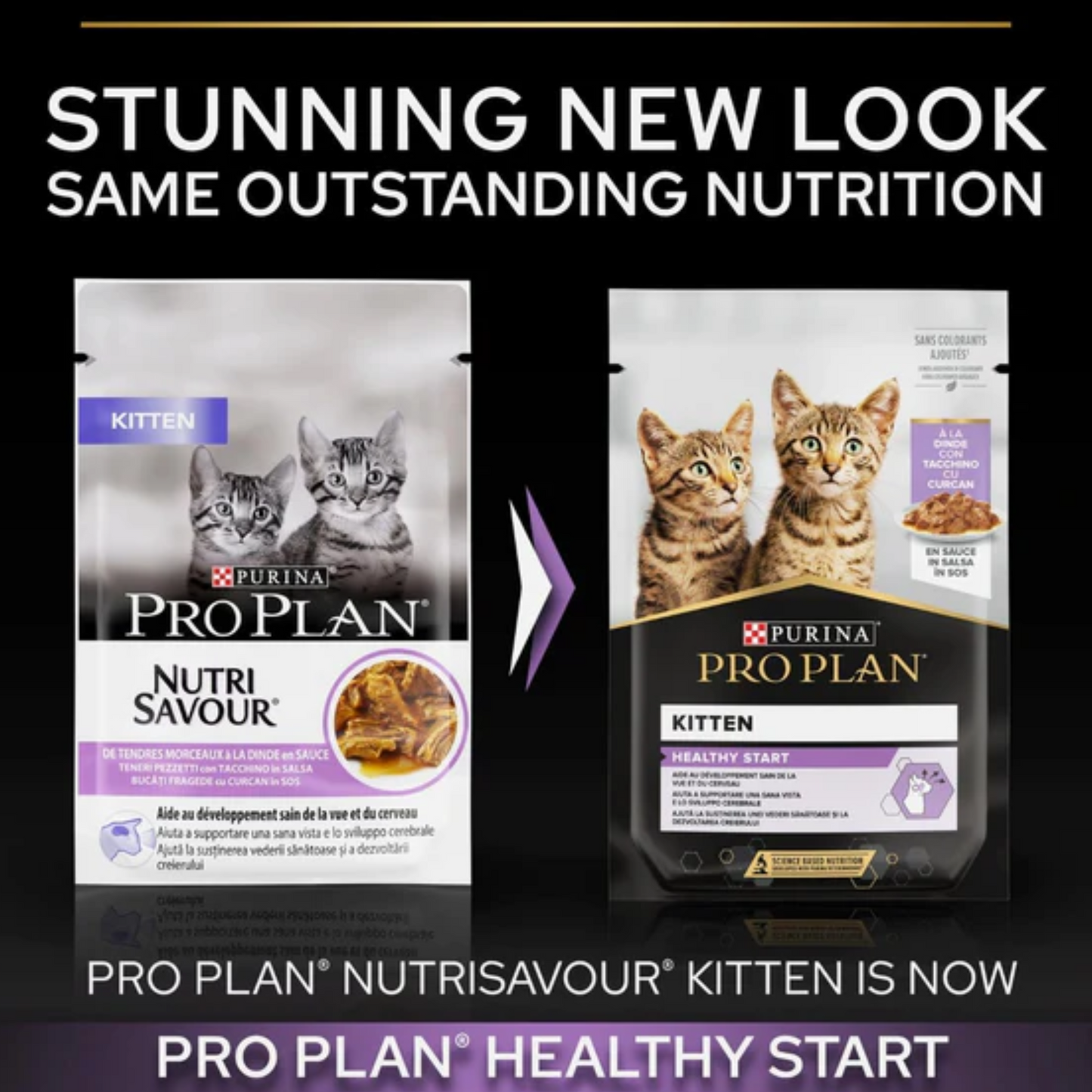 PURINA PRO PLAN WET TURKEY IN GRAVY85G