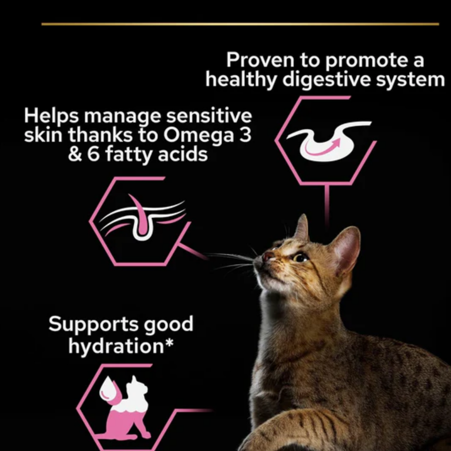 Purina Pro Plan Delicate Wet Cat Food with Turkey Grilled in Gravy, 26 x 85g