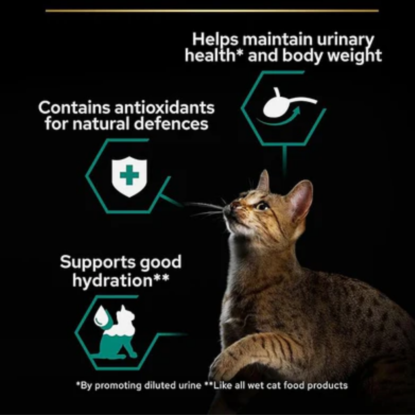 Purina Pro Plan Sterilised Wet Cat Food with Beef Grilled in Gravy, 26 x 85g