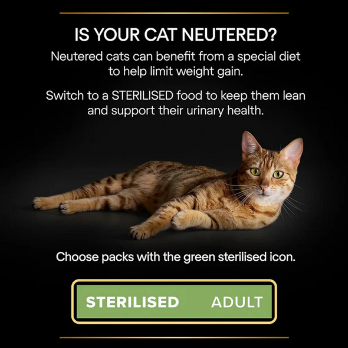 Purina Pro Plan Nutri Savour Wet Food with Chicken in Gravy for Sterilized Adult Cats