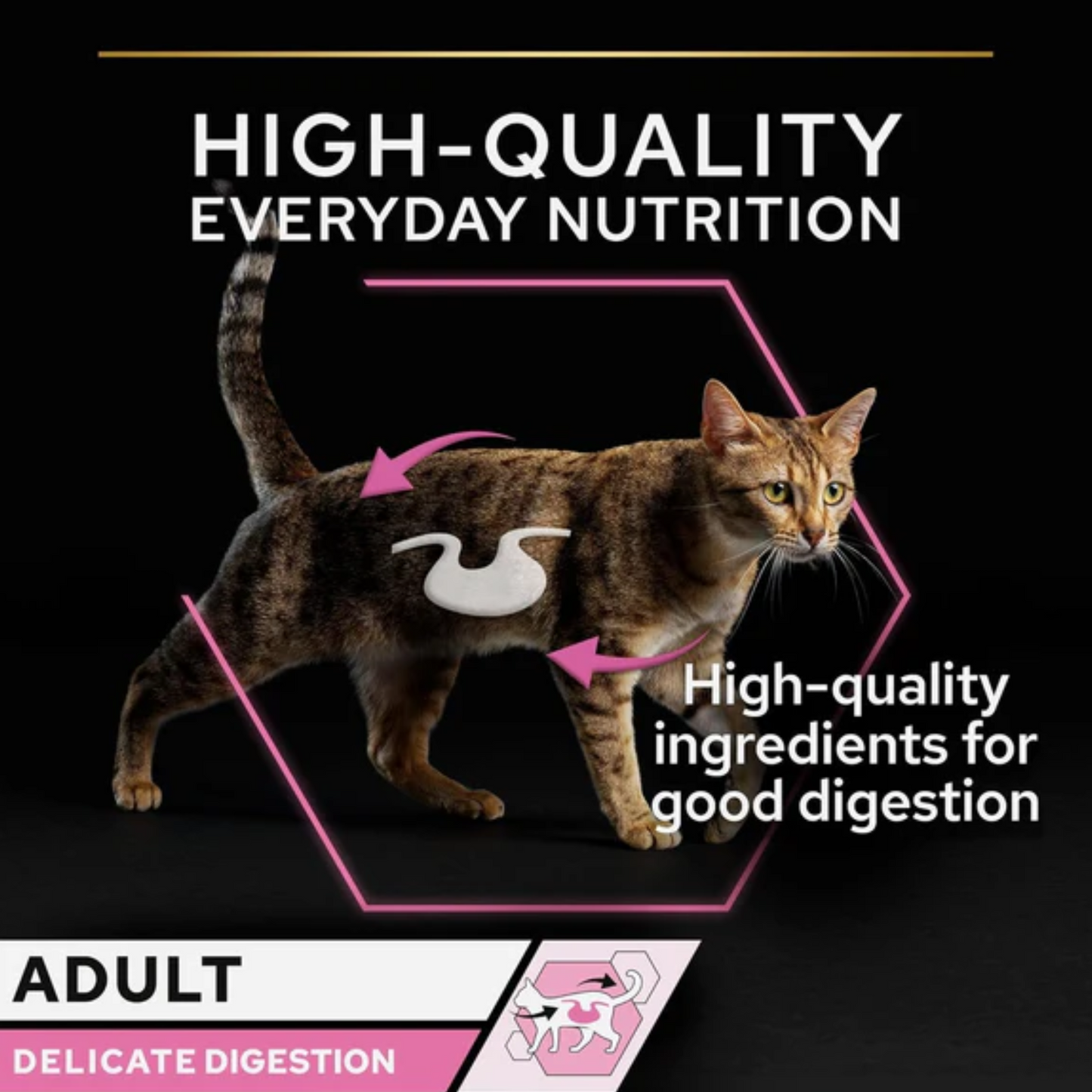 Purina Pro Plan Delicate Wet Cat Food with Turkey Grilled in Gravy, 26 x 85g