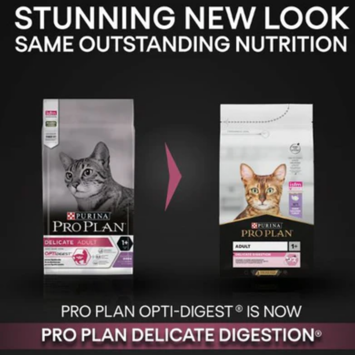 Purina Pro Plan Delicate Adult, Dry Cat Food with Turkey, 1.5 kg