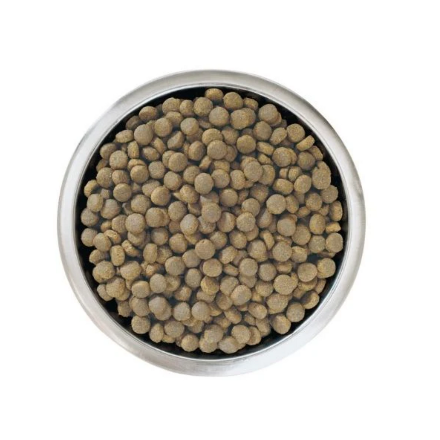 Purina Pro Plan Healthy Start Large Robust Puppy, Dry Dog food with Chicken, 3 kg