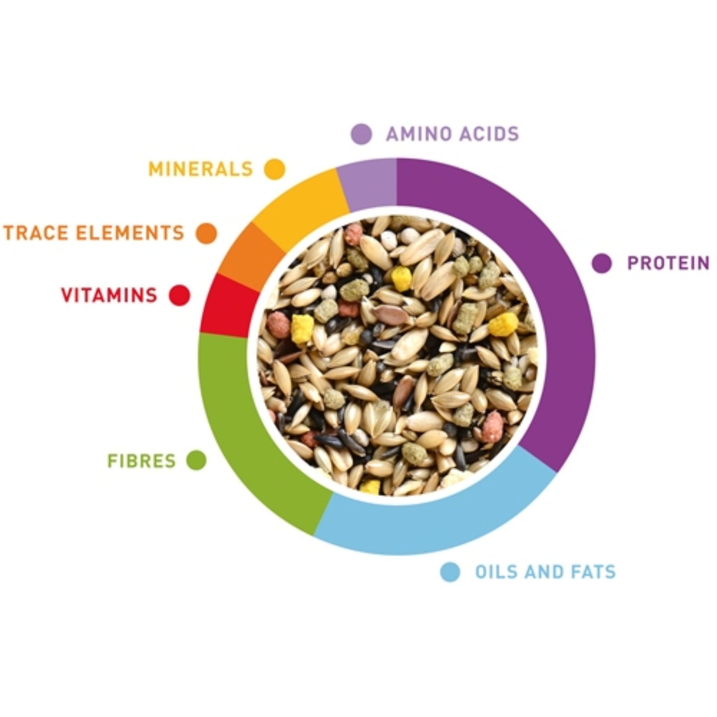 Padovan Wellness Canaries Food Fortified Seed Blend – 1kg