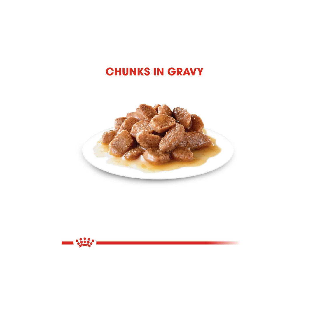 Royal Canin Feline Care Nutrition Digest Sensitive Gravy (WET FOOD)
