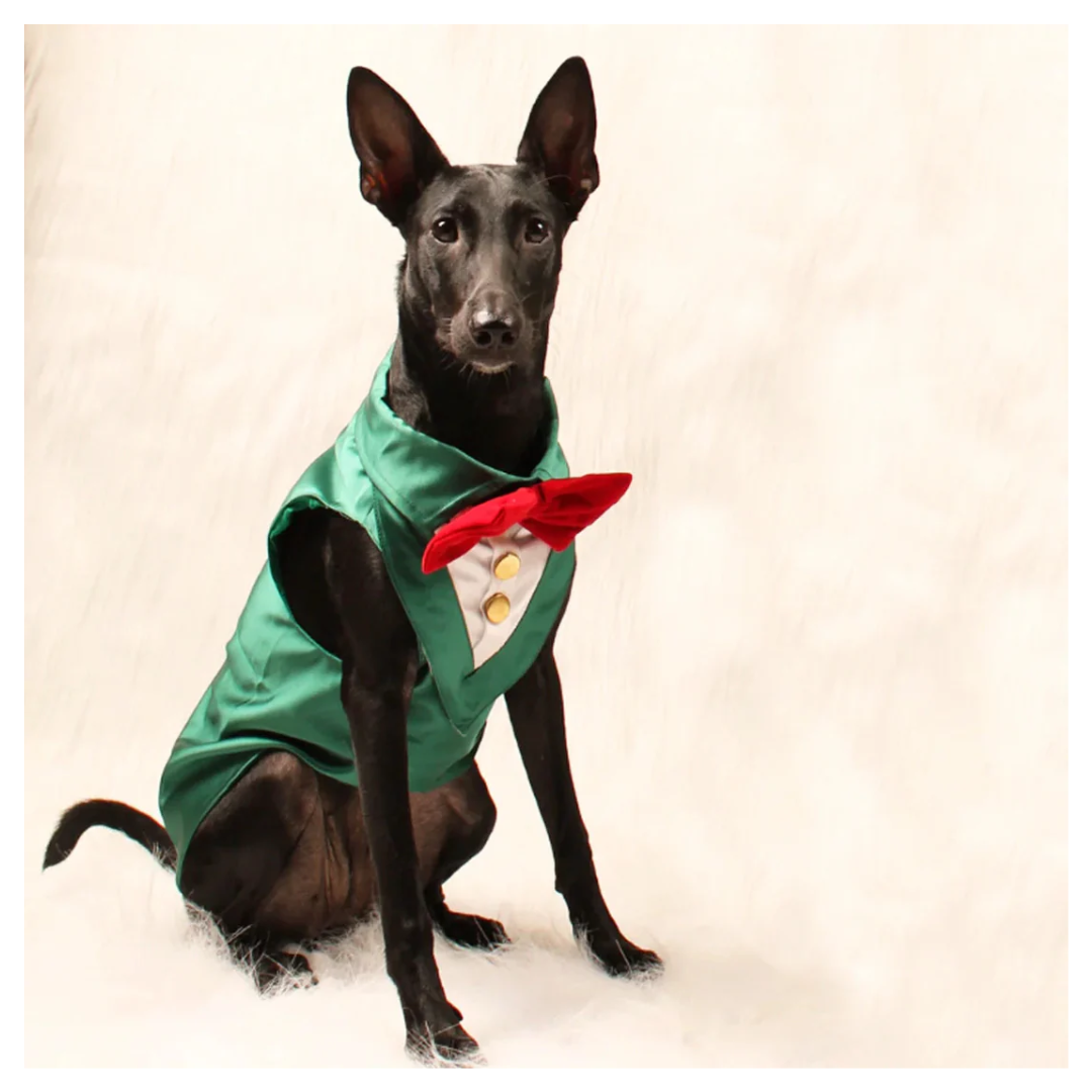 Petbroo Cat & Dog Dress