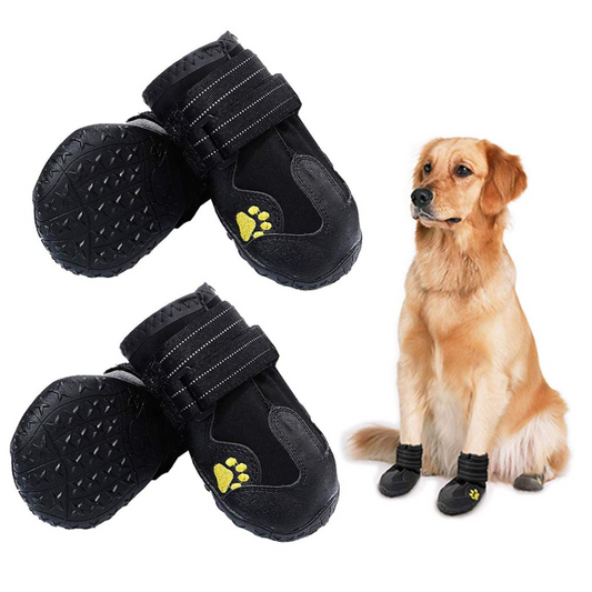 Petbroo Dog Shoes
