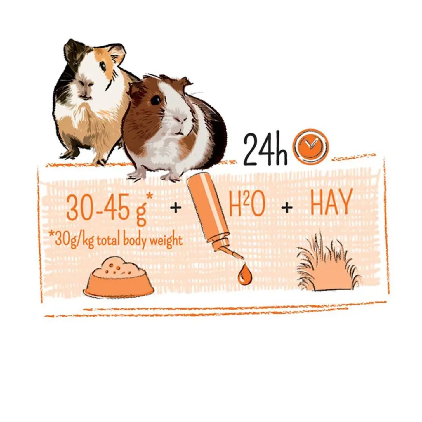 Witte Molen Puur Guinea Pig Food – 700g