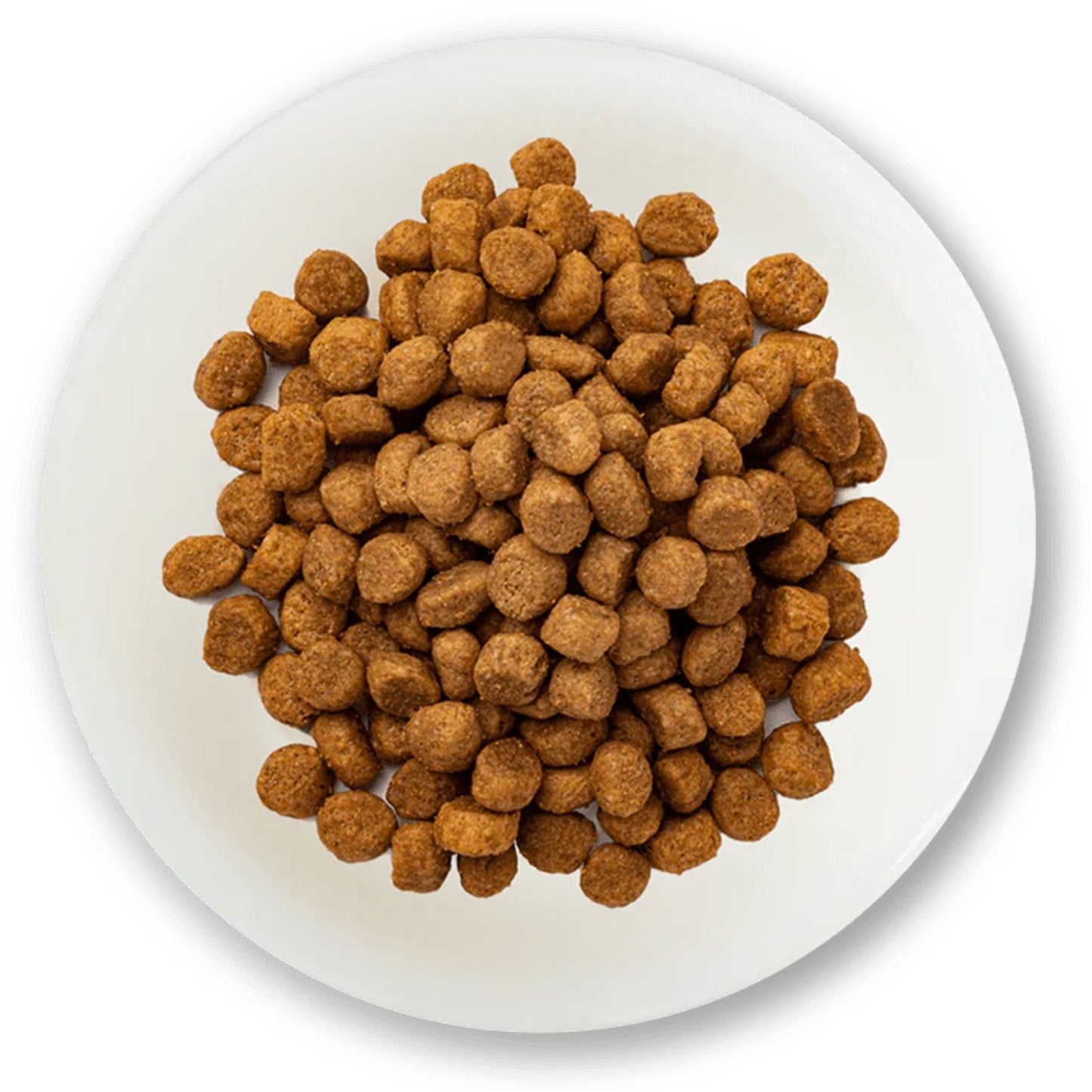Schesir Small Adult Fish Dry Dog Food - 2kg
