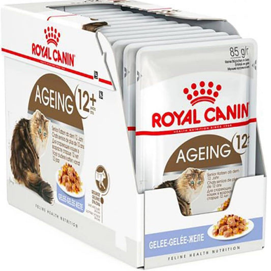 Royal Canin Ageing 12+ cat food pouches in a display pack.