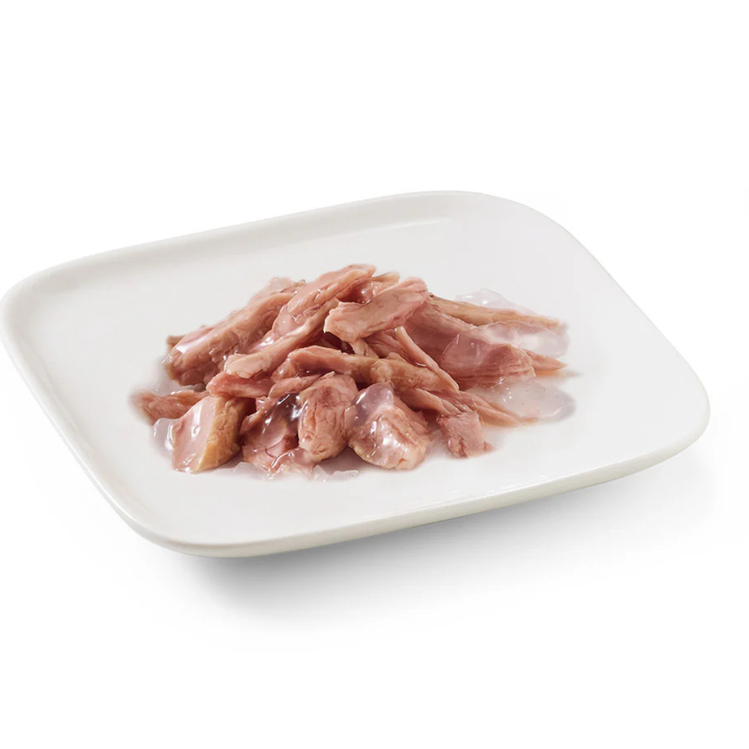 Schesir Dog Wet Food in Jelly Can-Tuna 150g