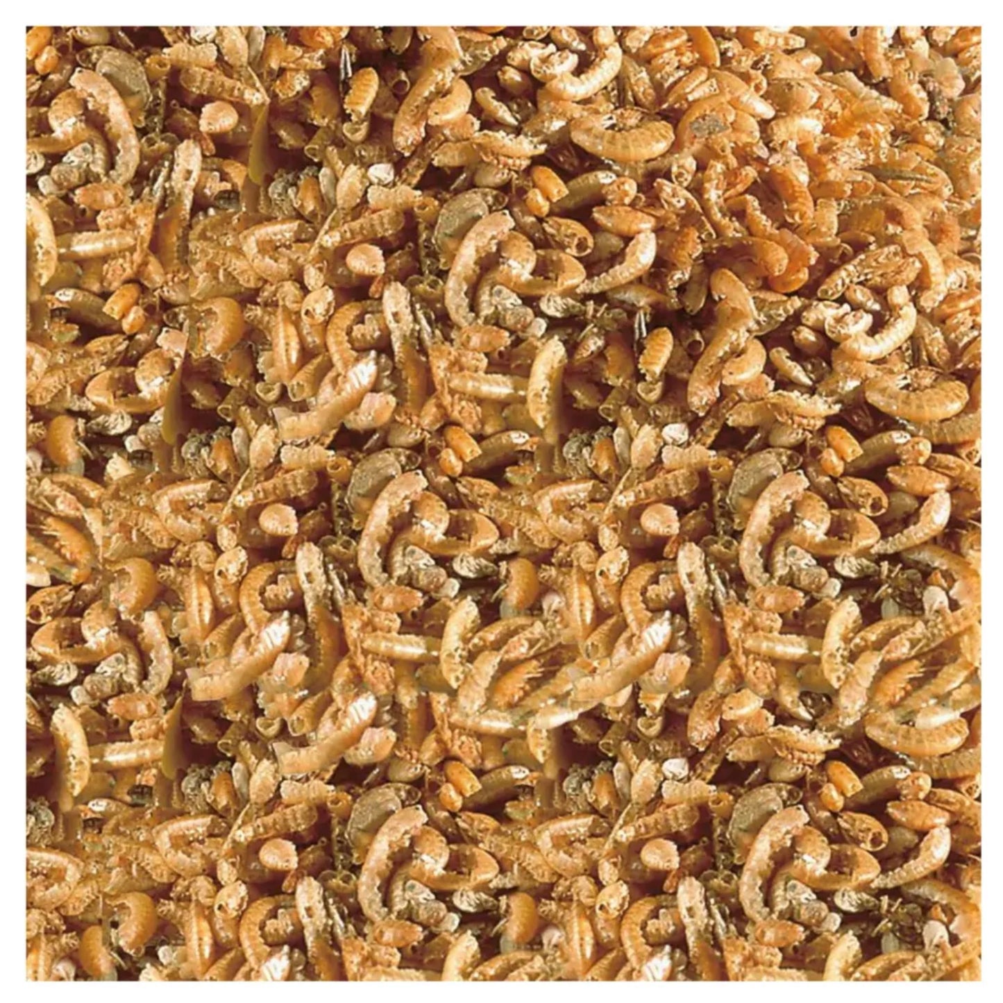 Sera Raffy-I Turtle Food Aquatic Reptile Complete Feed  – 250ml